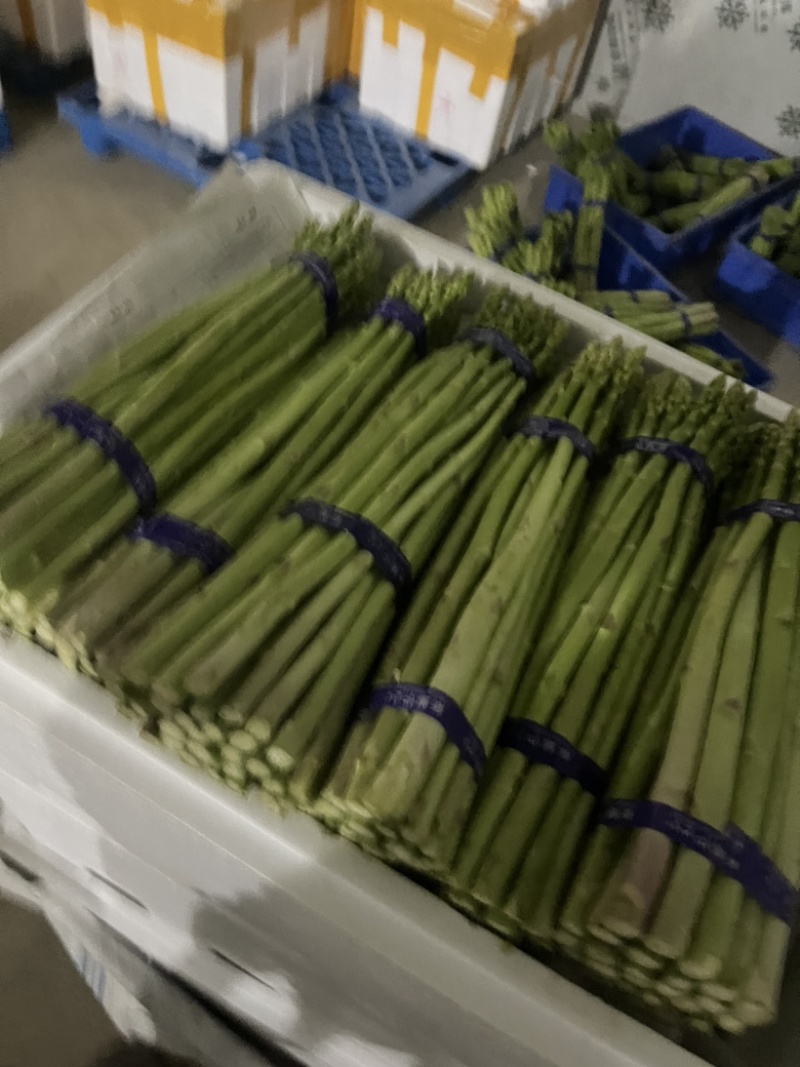 特价特价特价
