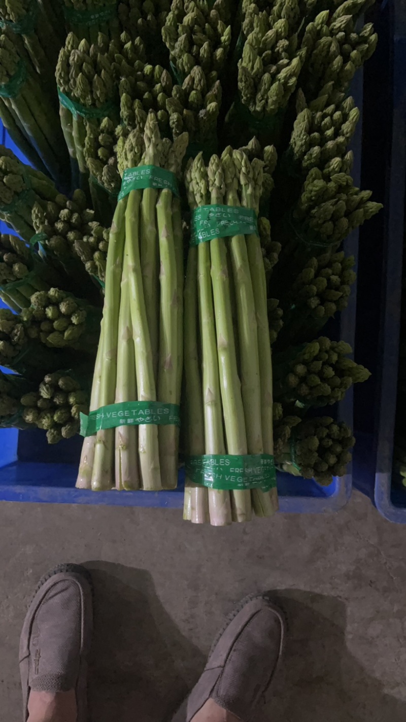 特价特价特价