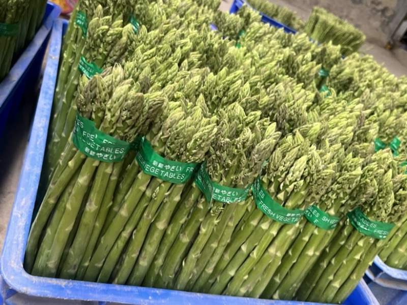 特价特价特价