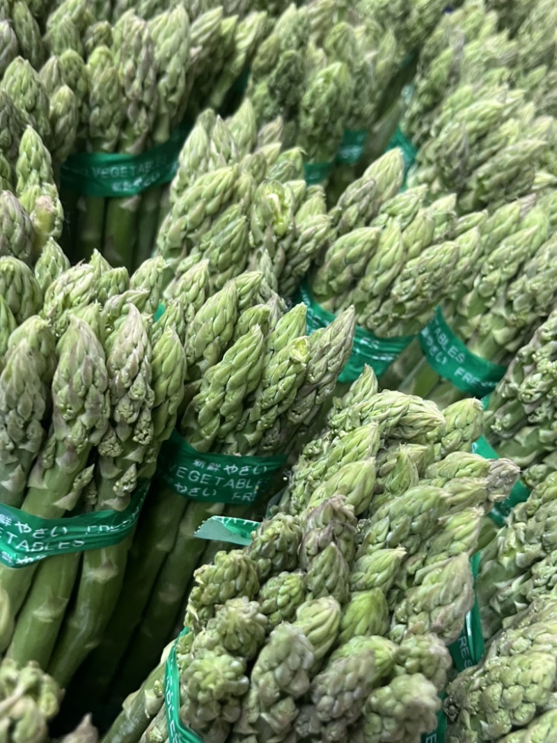 特价特价特价