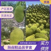 红肉菠萝蜜泰国八号果地直发供应批发市场（保质量）