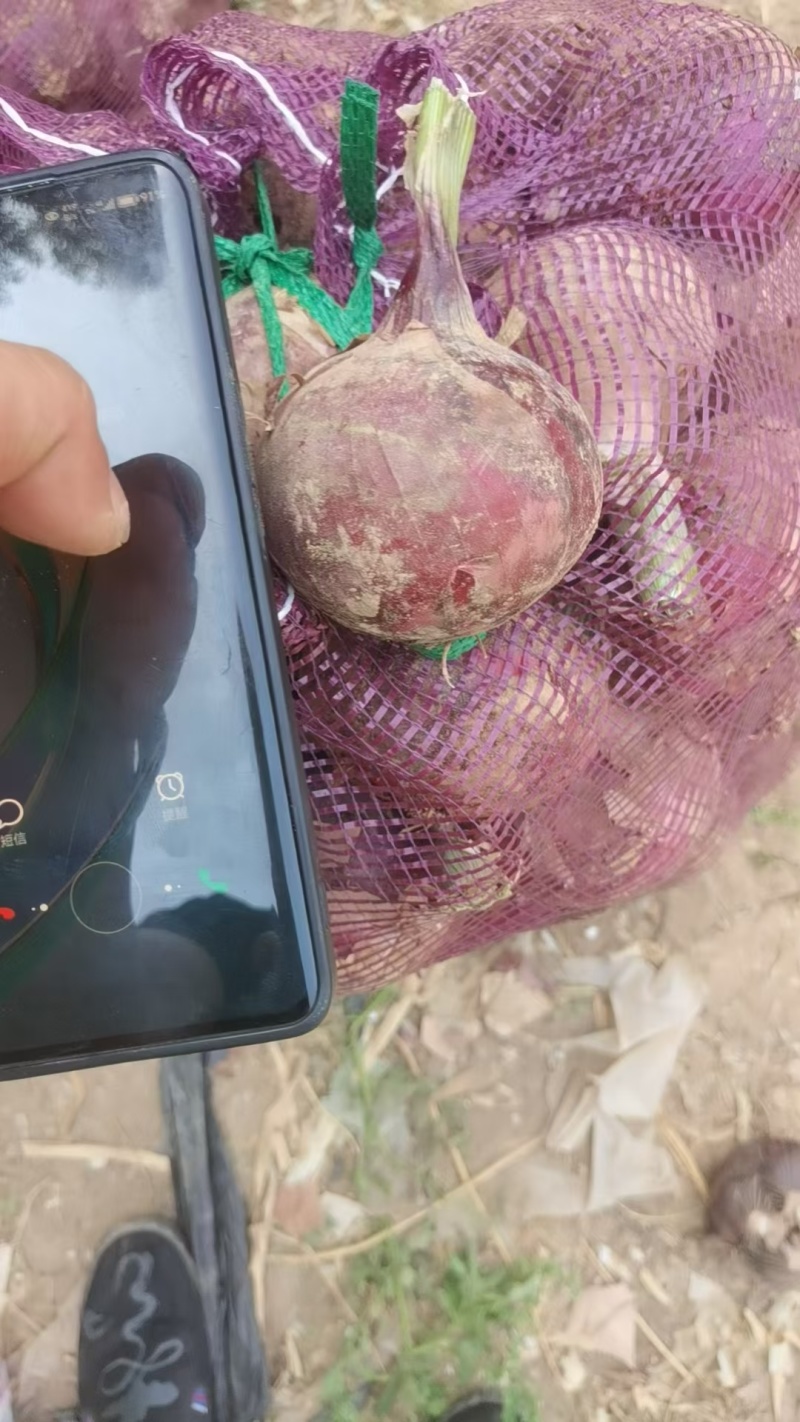 产地直发大量有货欢迎各地老板前来选购，一次合作终身朋友。