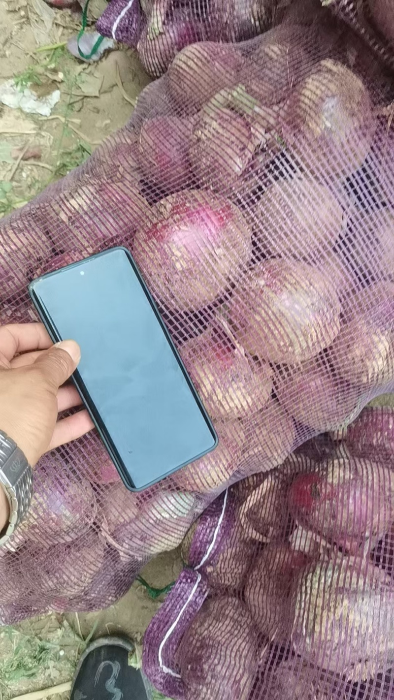 产地直发大量有货欢迎各地老板前来选购，一次合作终身朋友。