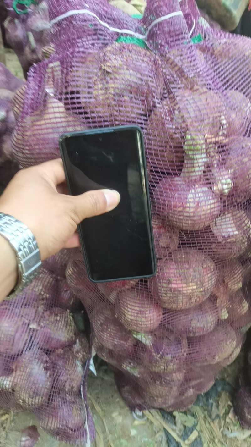 产地直发大量有货欢迎各地老板前来选购，一次合作终身朋友。