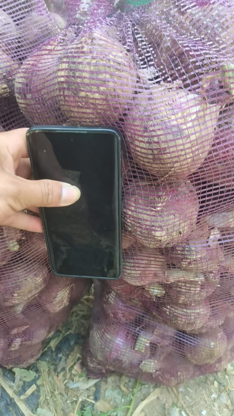 产地直发大量有货欢迎各地老板前来选购，一次合作终身朋友。
