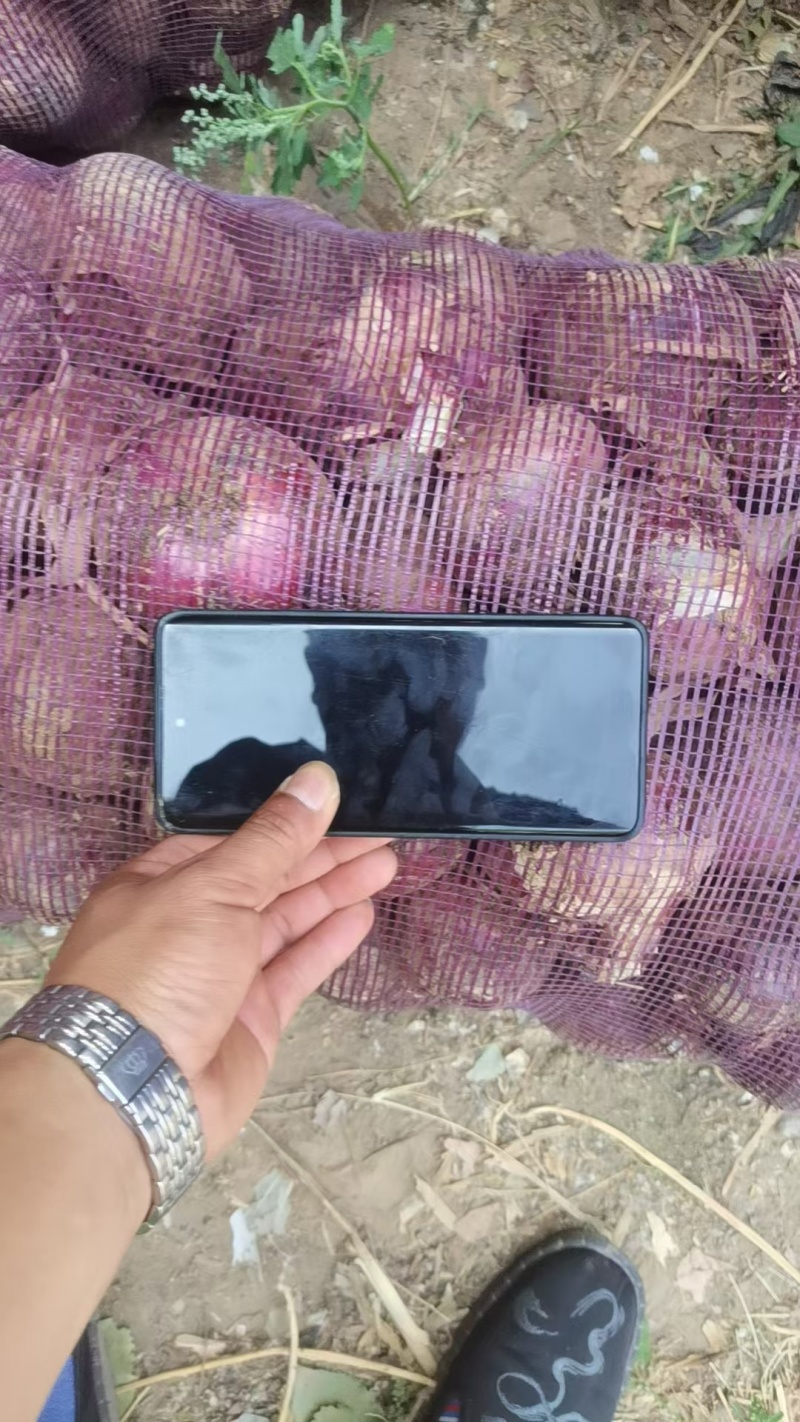 产地直发大量有货欢迎各地老板前来选购，一次合作终身朋友。