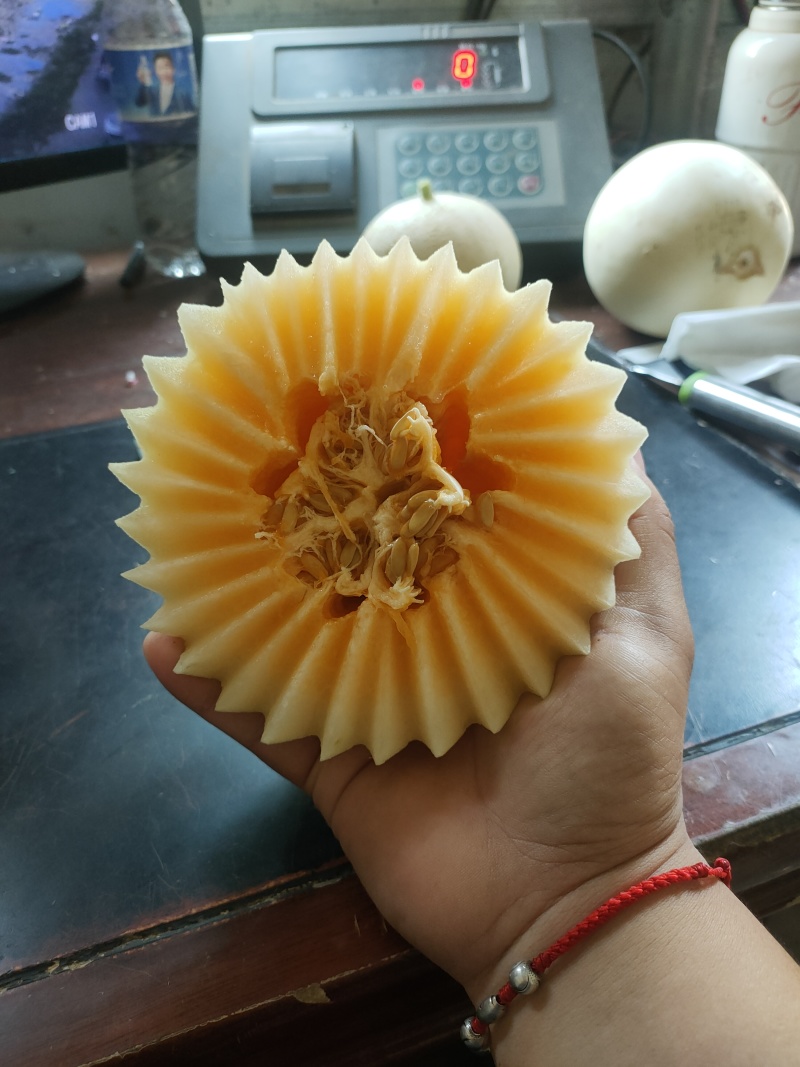 甜红玉甜瓜，软糯香甜万亩大棚基地直发全国，龚垒代发货代收