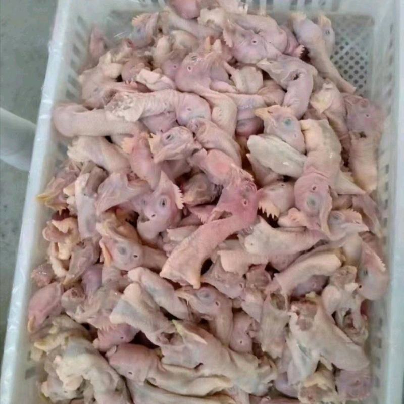 鸡头脖货源充足价格美丽欢迎咨询来电优