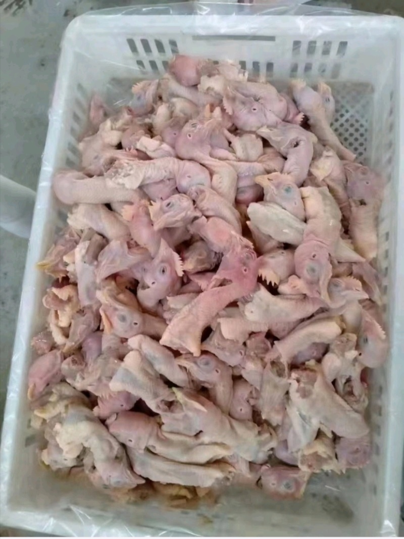 鸡头脖货源充足价格美丽欢迎咨询来电优