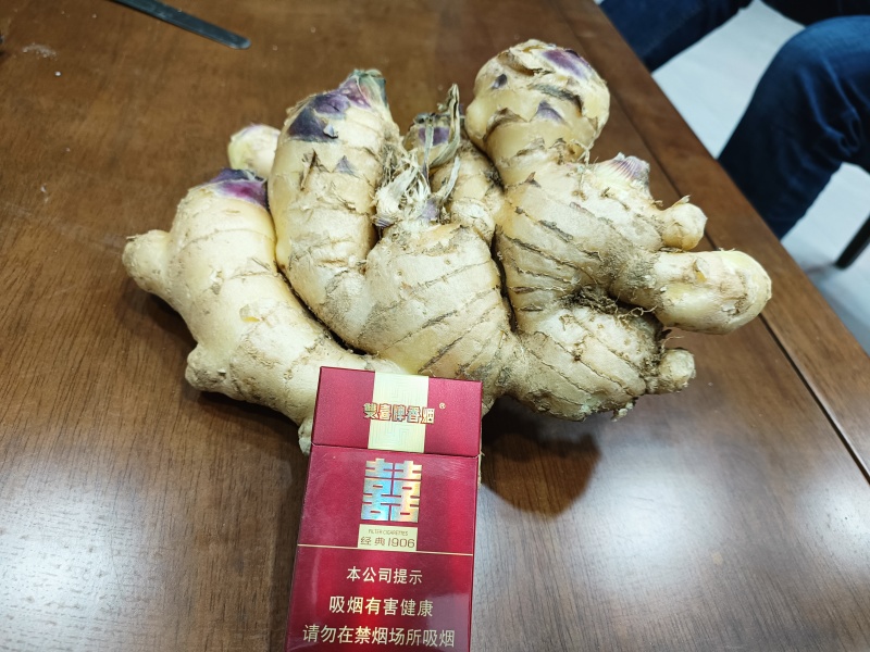 河南省平舆县众耕农业专业种植合作社大姜常年出售，姜种货靓