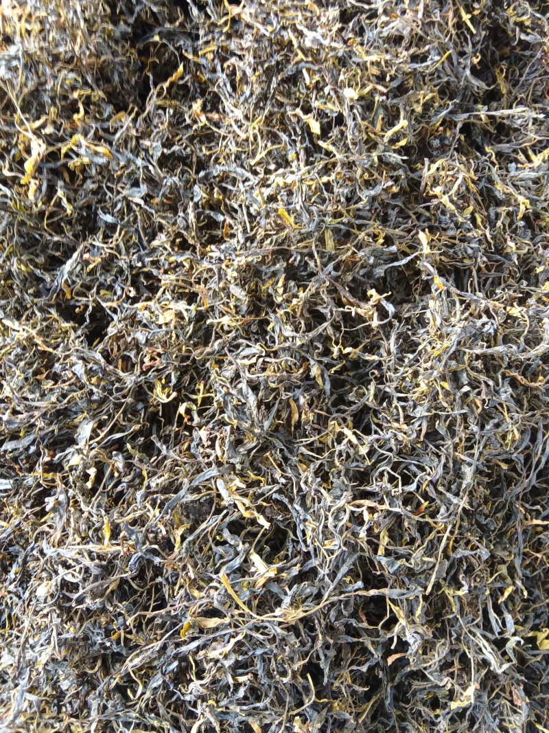 野生古树红茶