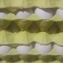 粉壳蛋44~46码