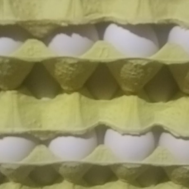 粉壳蛋44~46码
