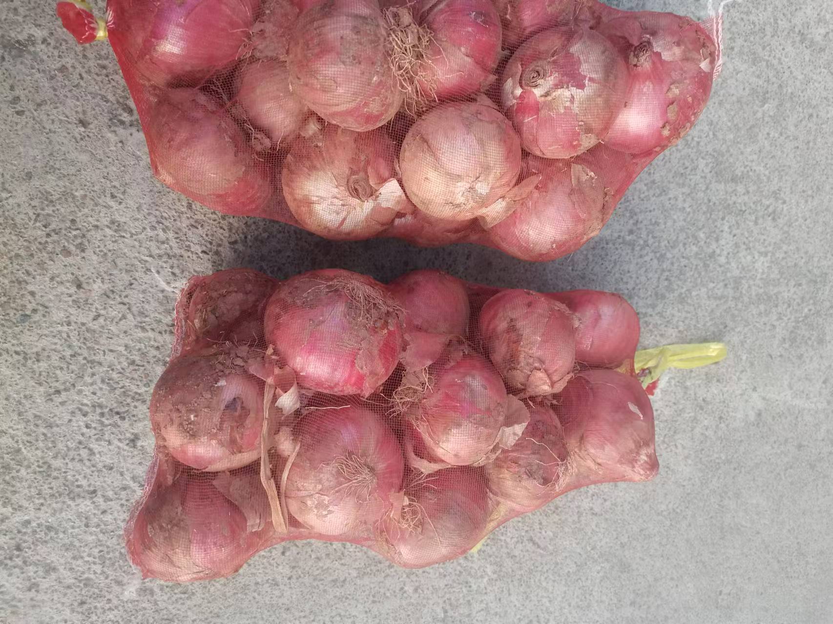 红皮葱头与蔬菜搭配的沙拉,展示其在日常饮食中的健康食用方式 红皮葱头沙拉