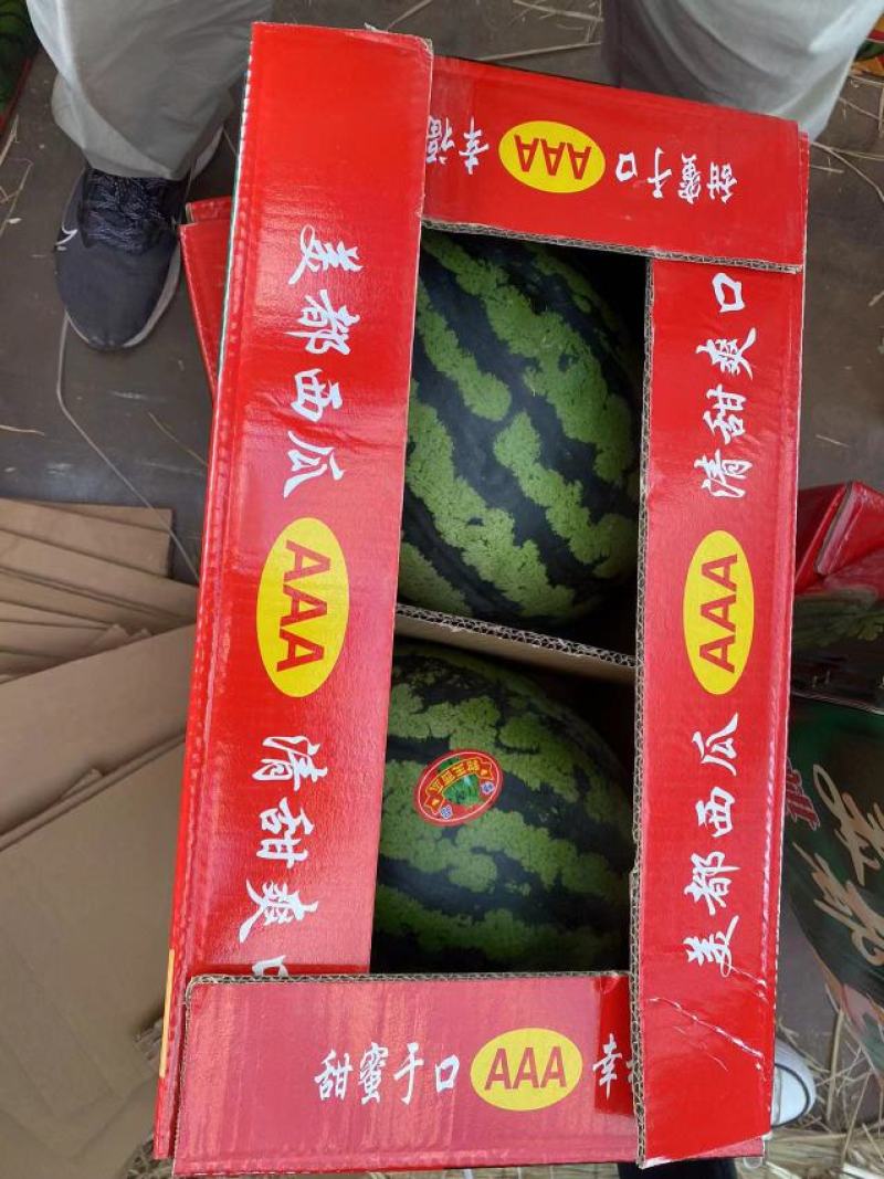 陕西蒲城甜王西瓜