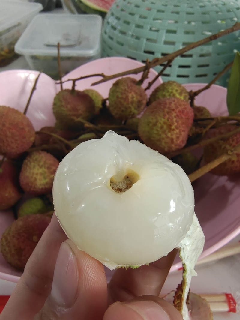 灵山荔枝批发零售