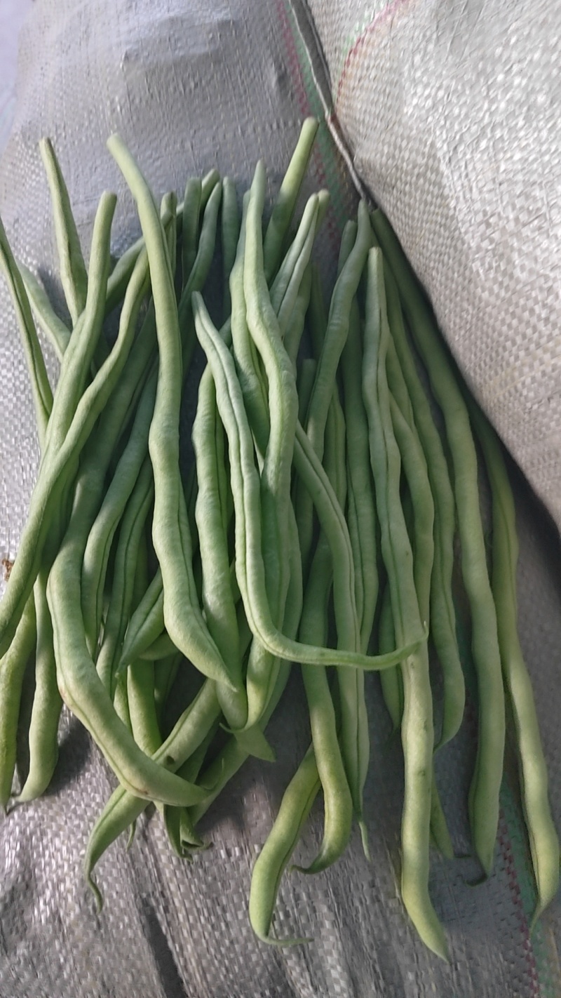 豆王