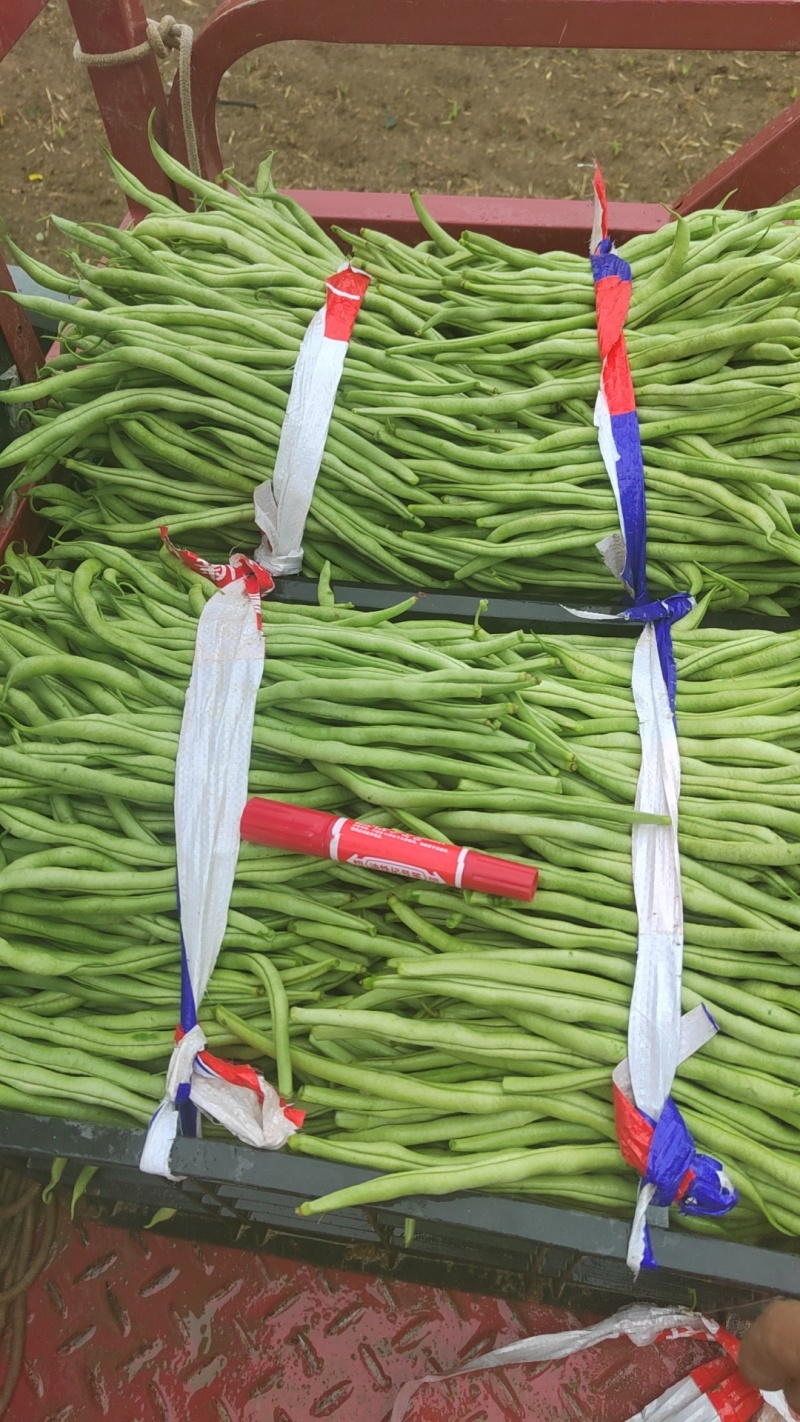 豆王