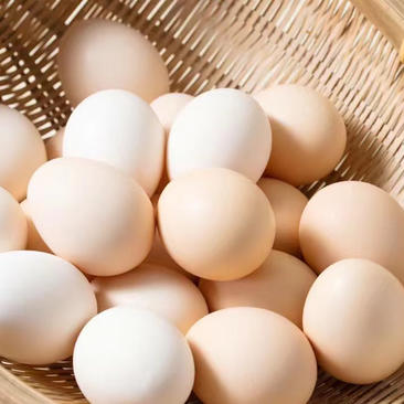 鸡蛋（柴鸡蛋）