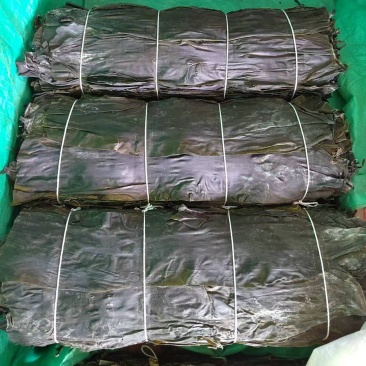 山东淡干海带，一刀板菜，去头去尾，干净无沙。