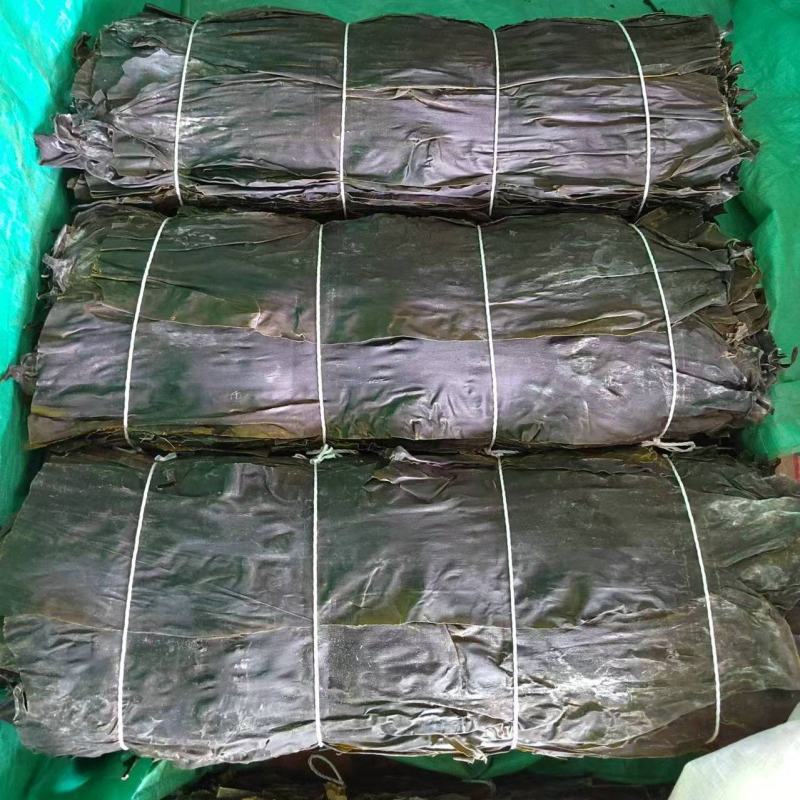 山东淡干海带，一刀板菜，去头去尾，干净无沙。