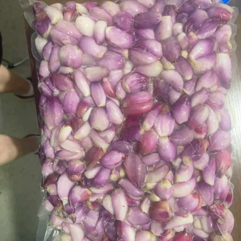 长期供应优质红葱头葱米货源稳定品质保证量大从优