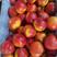 黄心白心油桃，品种多，中油系列曙光超级千年红等等，脆甜！
