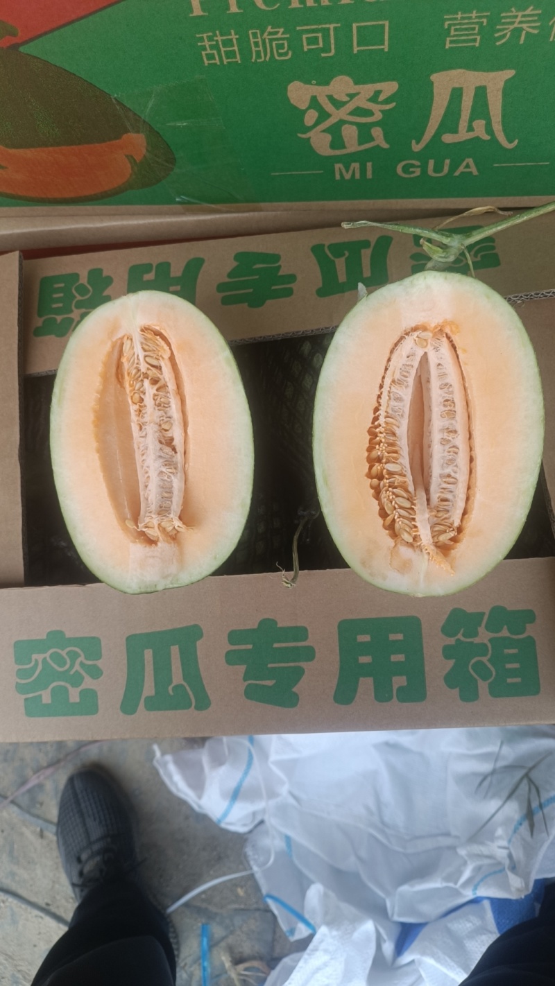 海南哈密瓜晓密25号散装货，货源充足，全国可发货。
