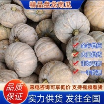 精品盘龙204南瓜工厂电商养殖南瓜202磨盘南瓜