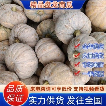 精品盘龙204南瓜工厂电商养殖南瓜202磨盘南瓜