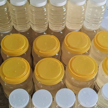 精品槐花蜜产地发货一手货源批发价格便宜欢迎下单咨询