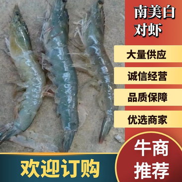 【推荐】江苏精品南美白对虾，现货发货，货量充足，按需发货