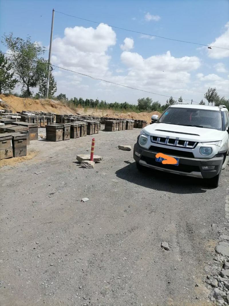 精品苹果蜜养蜂基地发货一手货源批发价格便宜全国代发