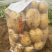河北精品实验一号土豆，货量足品质好规格齐全欢迎咨询