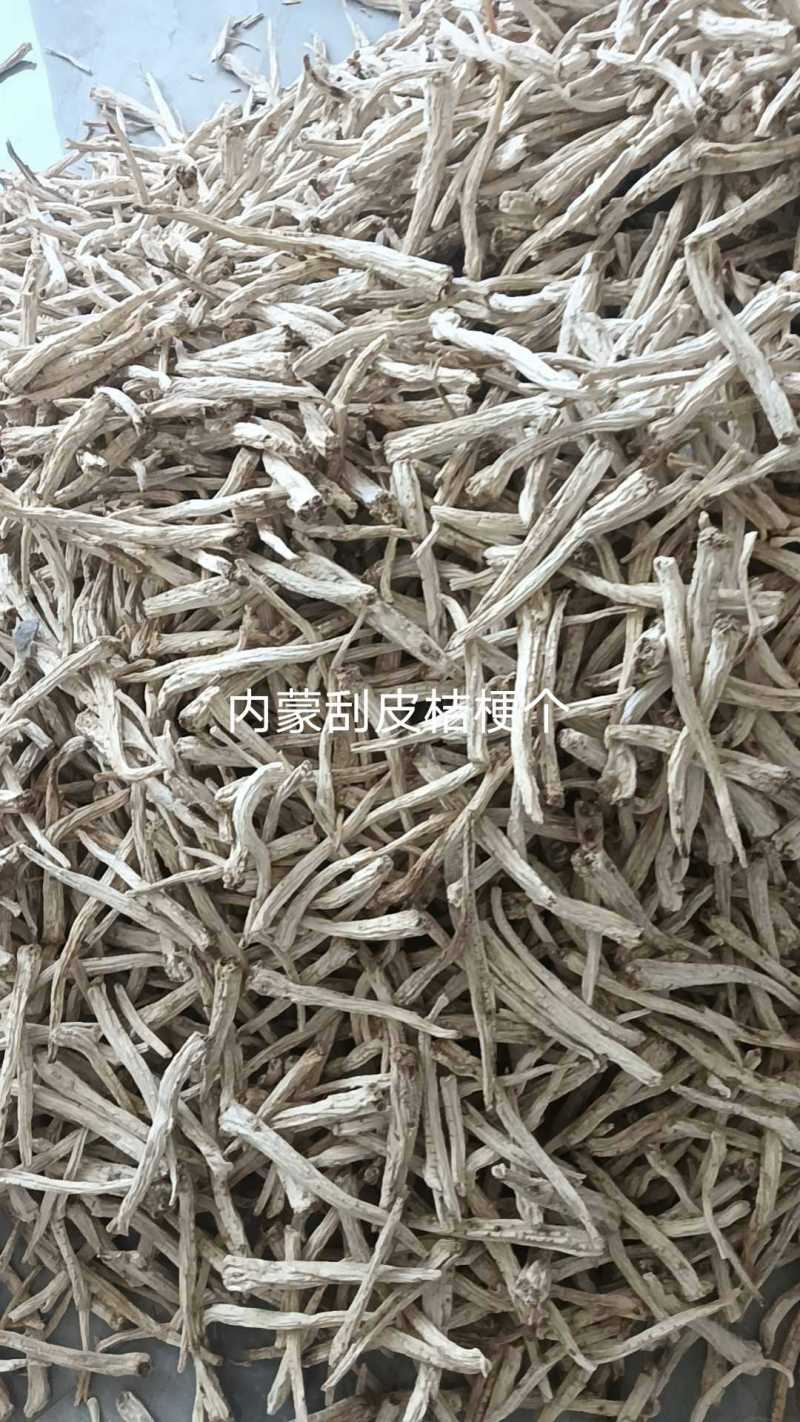 桔梗