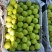 香白杏，北山坡早熟几天，一捏两开甜杏仁。