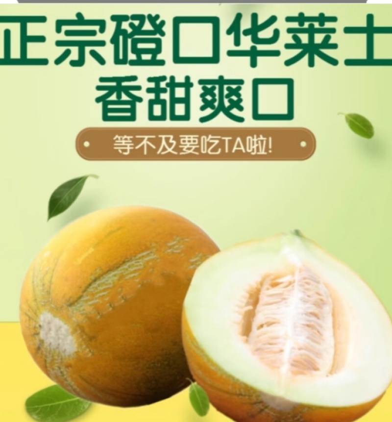 河套华莱士蜜瓜