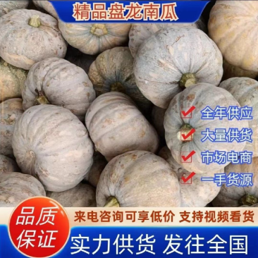 盘龙204南瓜磨盘小南瓜养殖南瓜电商南瓜工场南瓜