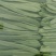大扁豆角