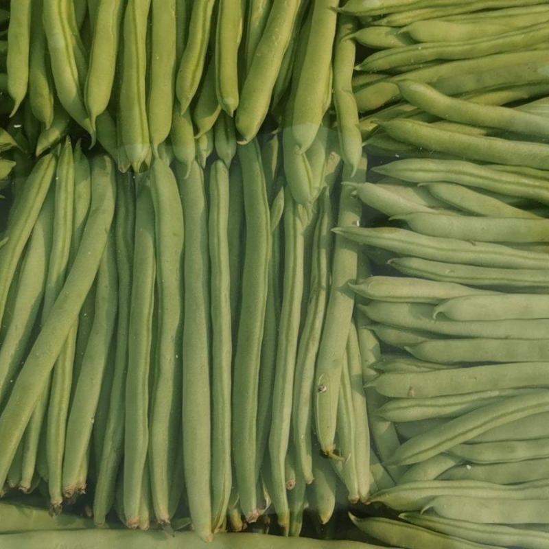 大扁豆角