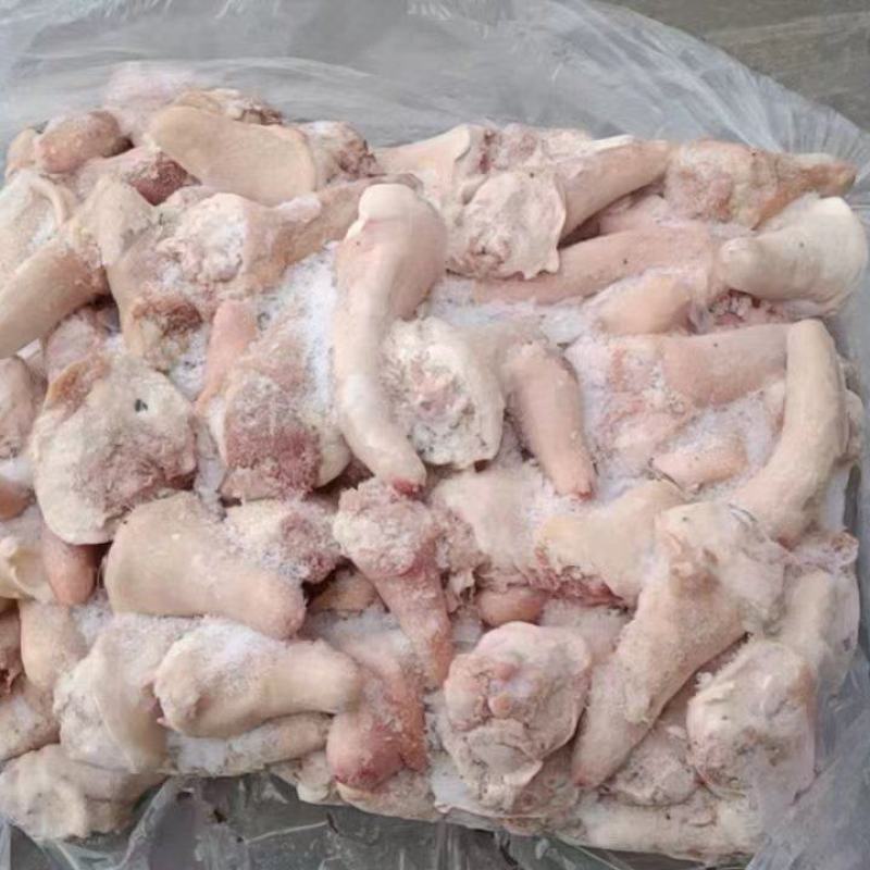 出售：肥猪短尾