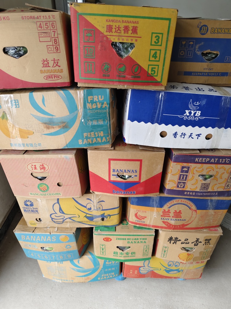 精品荷兰小乳瓜
