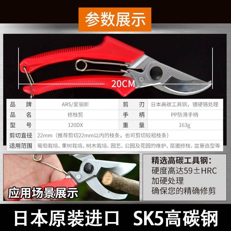 原装进口爱丽斯修枝剪果树剪园林园艺剪枝剪