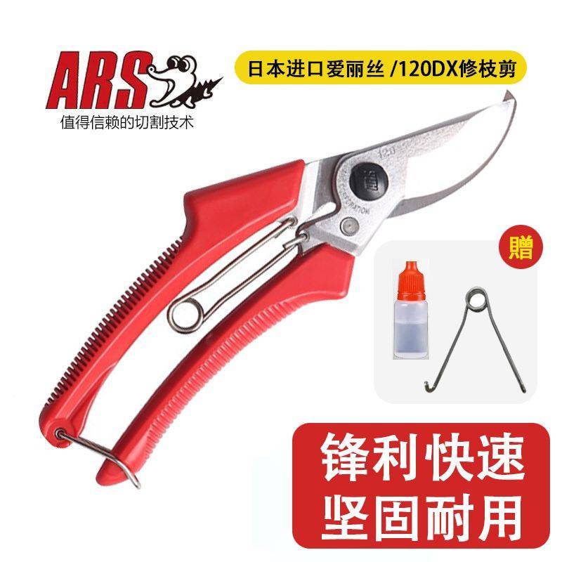 原装进口爱丽斯修枝剪果树剪园林园艺剪枝剪