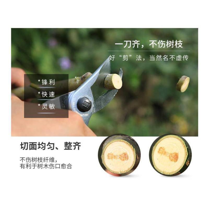 原装进口爱丽斯修枝剪果树剪园林园艺剪枝剪