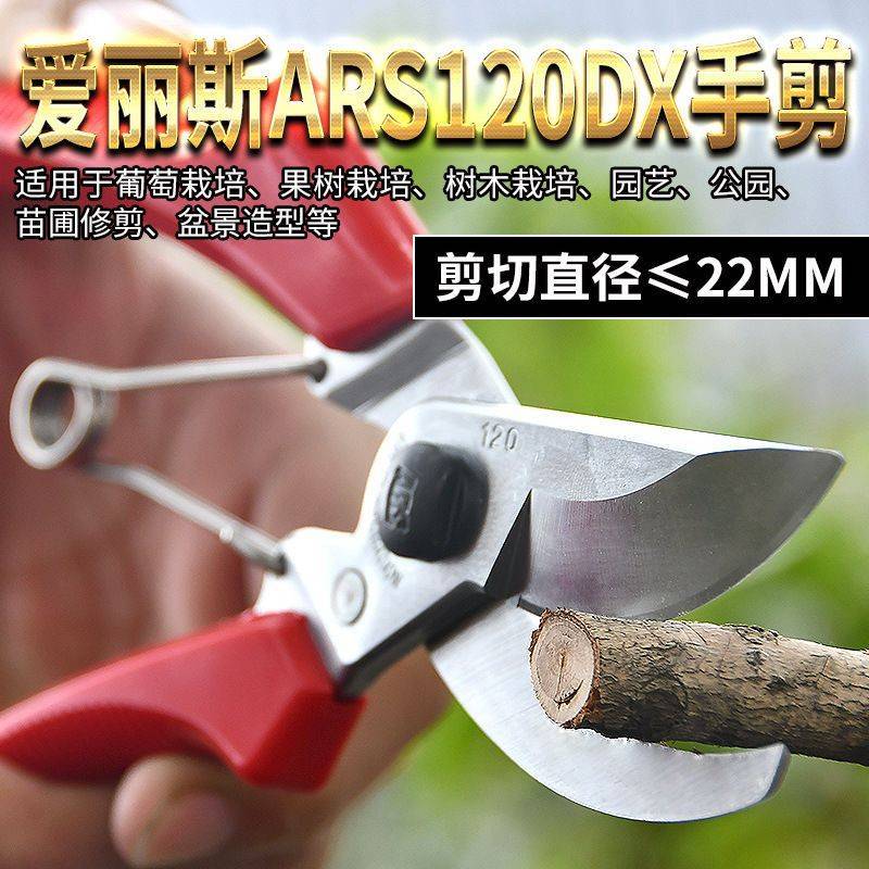 原装进口爱丽斯修枝剪果树剪园林园艺剪枝剪