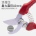 原装进口爱丽斯修枝剪果树剪园林园艺剪枝剪