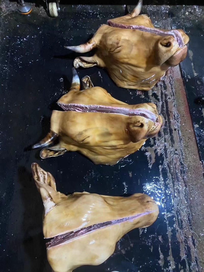 牛头牛副产品滨州牛肉常年供货价格便宜代发全国市场