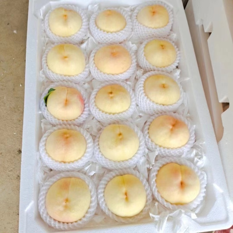 桃蜜桃突围沙红白凤产地直发一手货源品质好