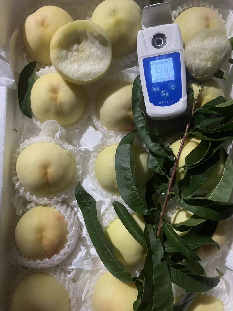 桃蜜桃突围沙红白凤产地直发一手货源品质好